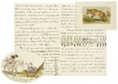 Illustrated manuscript letter with two accompanying original illustrations.