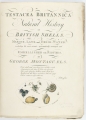 Testacea Britannica or Natural History of British Shells,