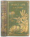 Insect Life.